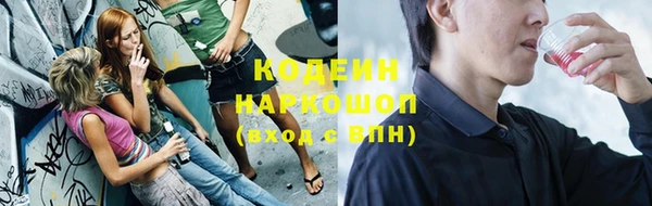 твердый Дмитров