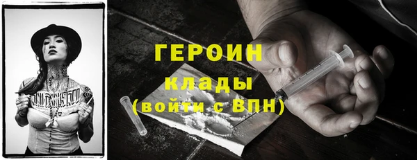PSILOCYBIN Дмитриев