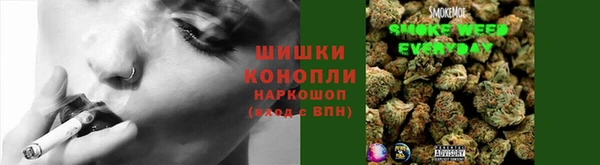 твердый Дмитров