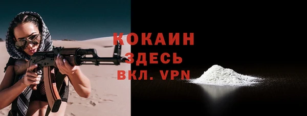 PSILOCYBIN Дмитриев