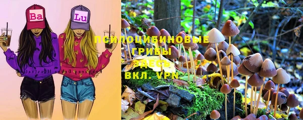 твердый Дмитров