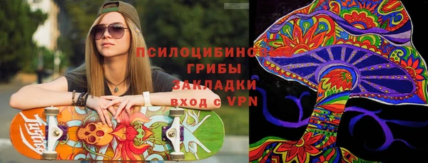 PSILOCYBIN Дмитриев