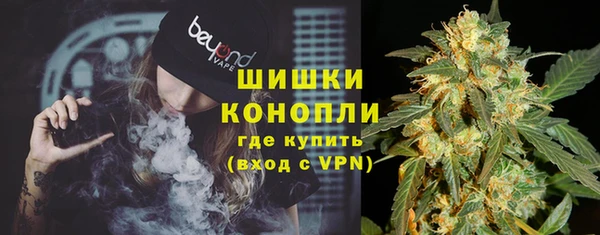 PSILOCYBIN Дмитриев