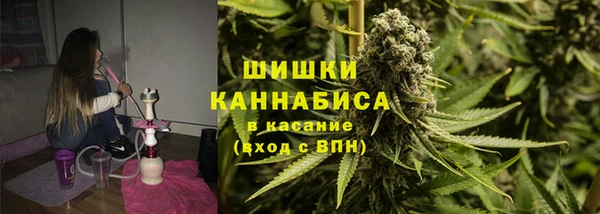 PSILOCYBIN Дмитриев