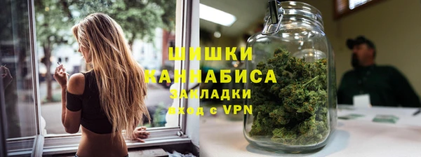 твердый Дмитров