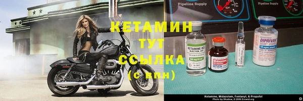 PSILOCYBIN Дмитриев